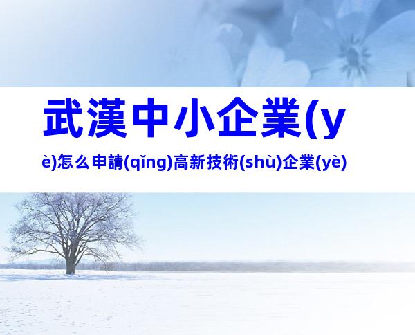 武漢中小企業(yè)怎么申請(qǐng)高新技術(shù)企業(yè)