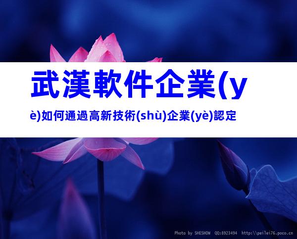 武漢軟件企業(yè)如何通過高新技術(shù)企業(yè)認定
