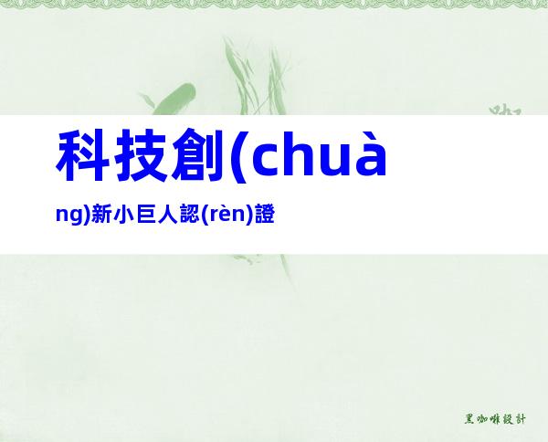 科技創(chuàng)新小巨人認(rèn)證