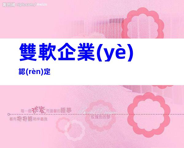 雙軟企業(yè)認(rèn)定